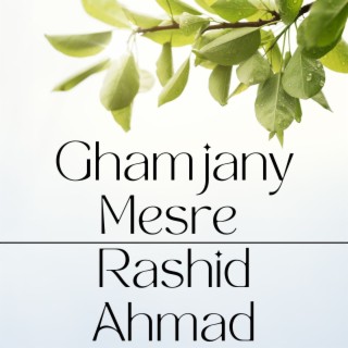 Ghamjany Mesre cover art