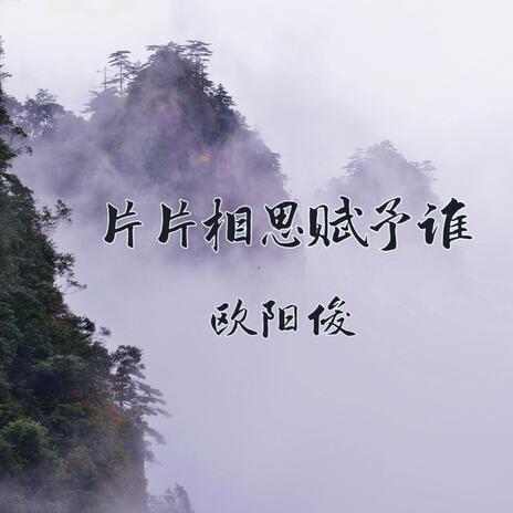 片片相思赋予谁 cover art