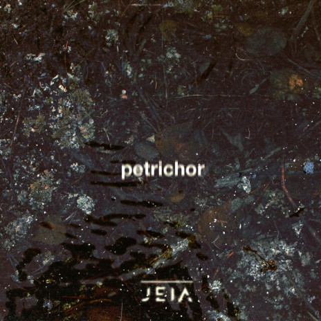 Petrichor