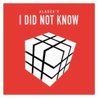 I Did Not Know cover art