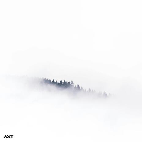 Ananau ft. Wayram & Yauri Music cover art