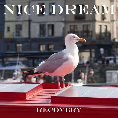 Recovery, Pt. X cover art