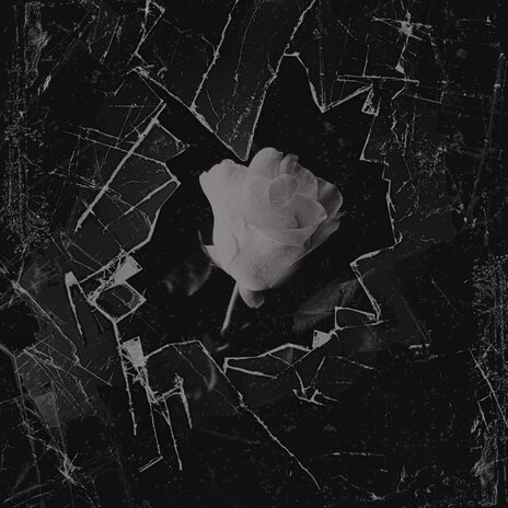 Fusion Touch cover art