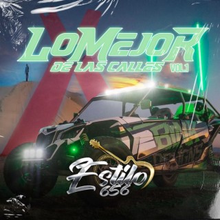 Estilo 656