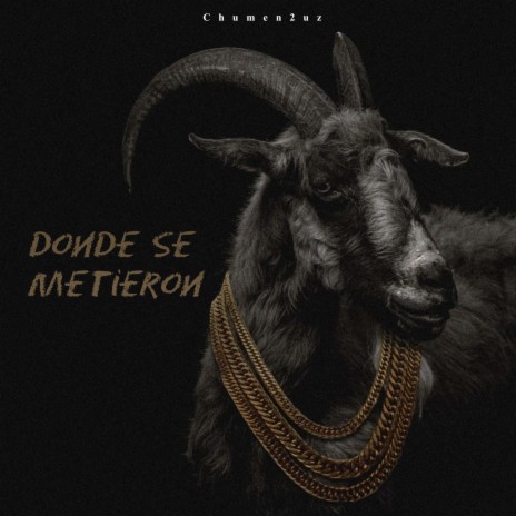 Donde se metieron cover art