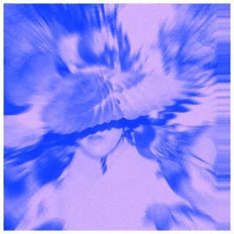 Burdy cover art