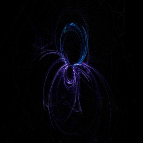 Spider Catches All cover art