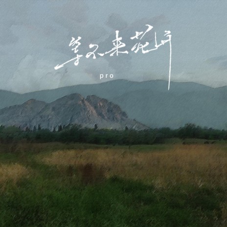等不来花开 cover art