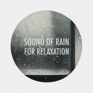 Sound Of Rain For Relaxation
