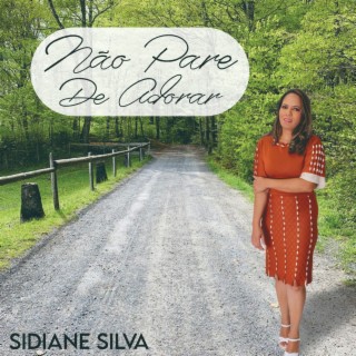 Não Pare de Adorar cover art