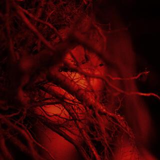 Väärät sanat cover art