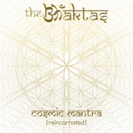 Guru Puja (Zen Baboon Remix) [Bonus Track] cover art