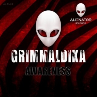 Awareness (Original Mix) cover art