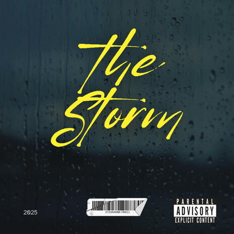 The Storm cover art