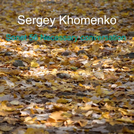 Sonet 56 Necessary Conversation cover art