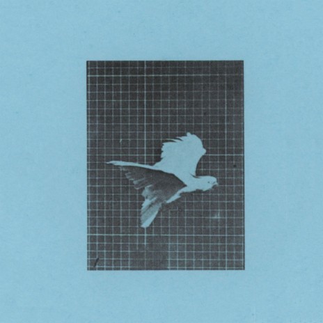 Long Time No See cover art