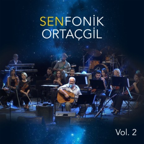 Sensiz Olmaz cover art