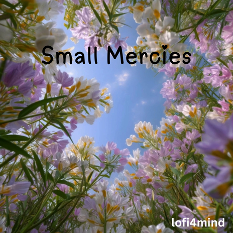 Small Mercies cover art