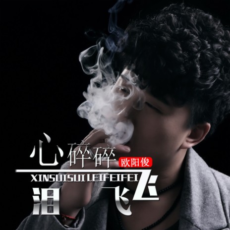 心碎碎泪飞飞 (DJ何鹏版) cover art