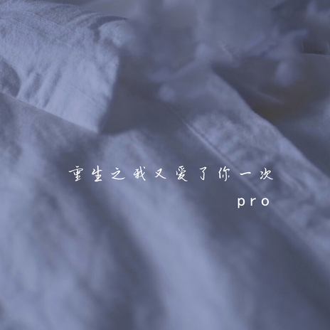 重生之我又爱了你一次 cover art