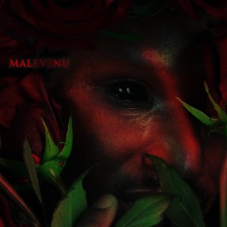 Malvenu
