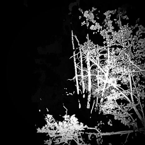 Bite (Instrumental) cover art