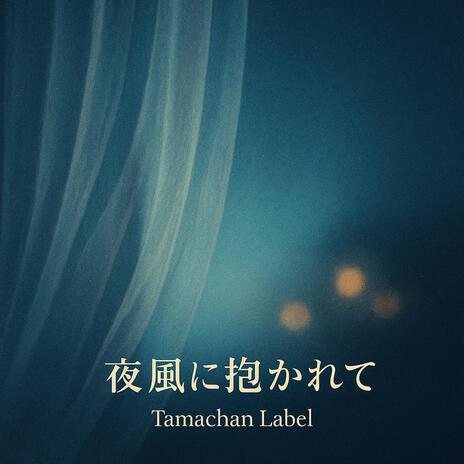 夜風に抱かれて cover art
