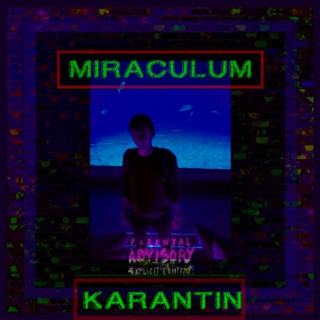 Karantin cover art