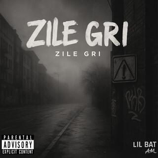 ZILE GRI