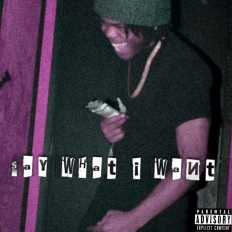 Say What I Want ft. Tso9ina, AceWayyJankiie & Krust cover art