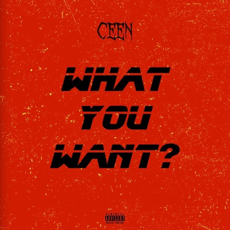 What You Want? cover art