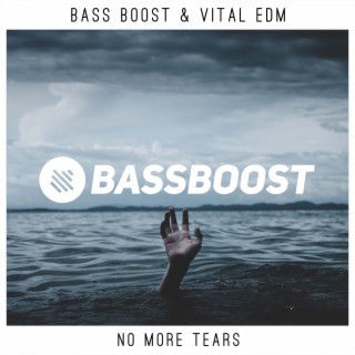 No More Tears ft. Vital EDM cover art