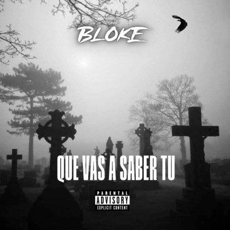 Que Vas a Saber Tu cover art