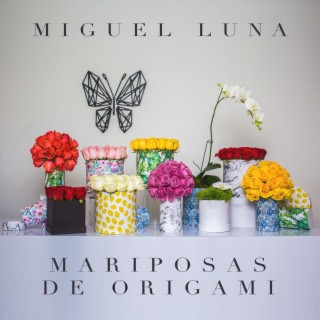 Mariposas de Origami cover art