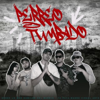 Perreo Tumbado ft. Aleex Deez, Tay Duran & Alin Dovali cover art