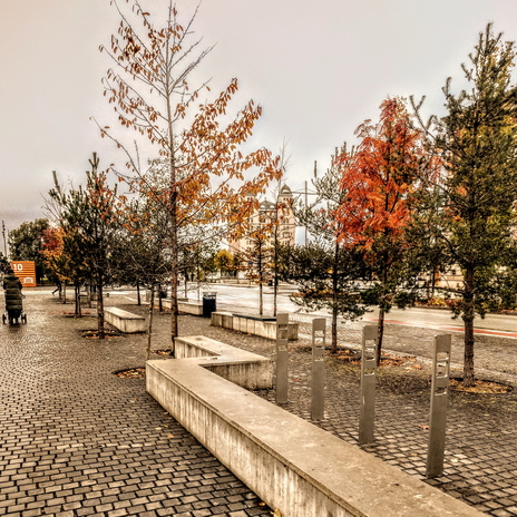 Last Words Of Autumn cover art
