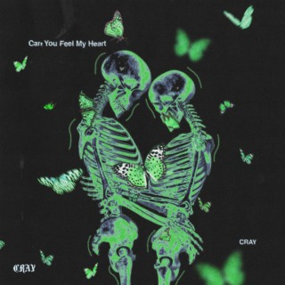 Can You Feel My Heart (cover) cover art