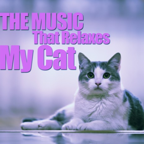 A Muse for Spiritual Practice cover art