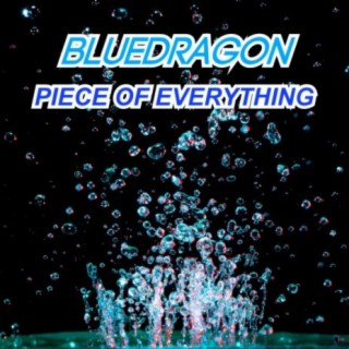 Piece of Everything cover art