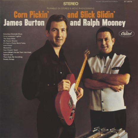 The Texas Waltz ft. Ralph Mooney cover art
