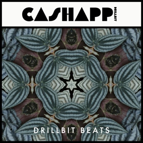 Cashapp cover art