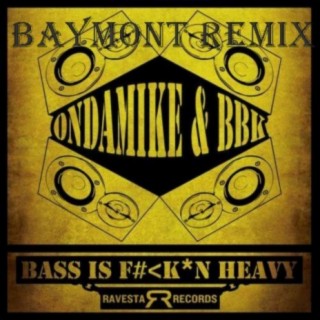 My Bass Is Fkn Heavy cover art