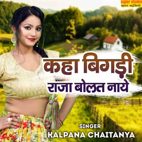 Kahan Bigdi Raja Bolat Naye cover art