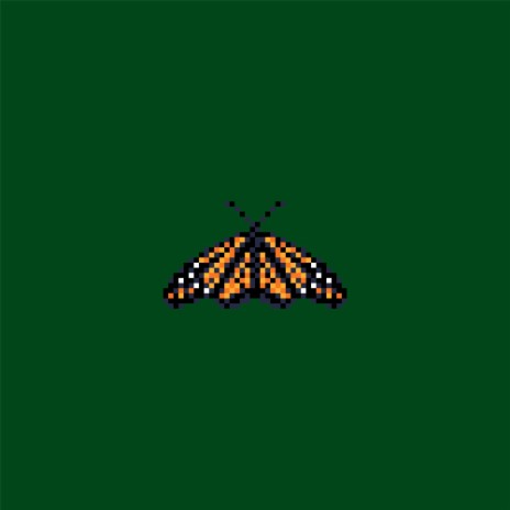 The Butterfly