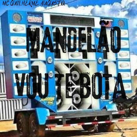 MANDELÃO VOU TE BOTA