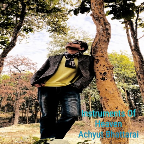 Dance in Mood (Instrumental Version) cover art