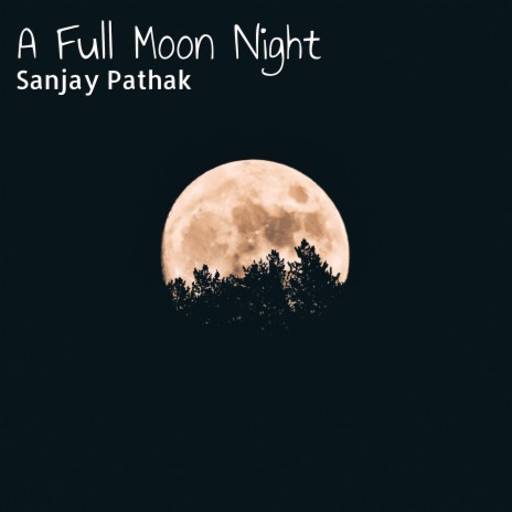 A Full Moon Night (Instrumental Version) cover art