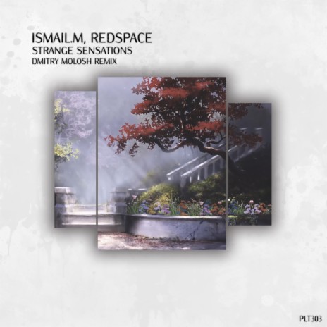 Strange Sensations (Dmitry Molosh Remix) ft. Redspace