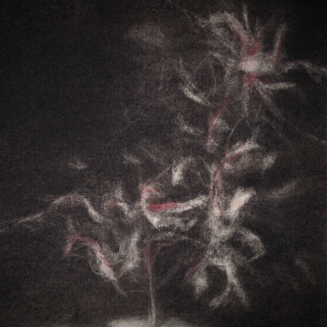 Fire, Set Fire To The Prime Minister cover art