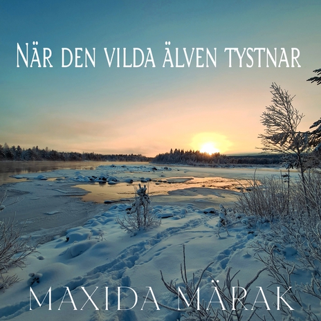 När den vilda älven tystnar cover art